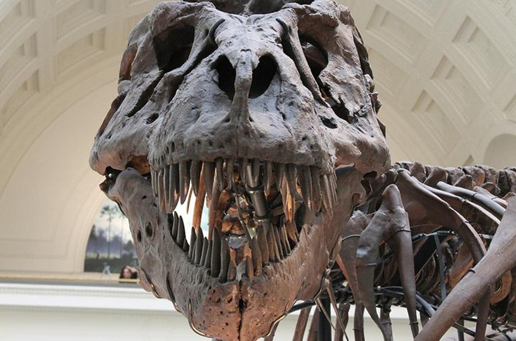 Are the ‘big six' holding companies at risk of becoming obsolete? 