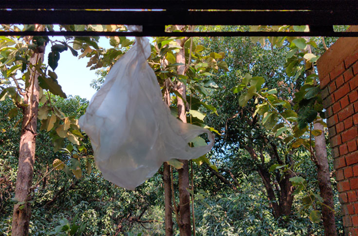 10 startups fighting against climate change