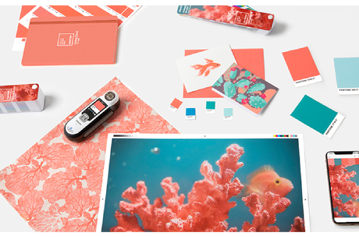 Living Coral: Pantone's 2019 colour of the year