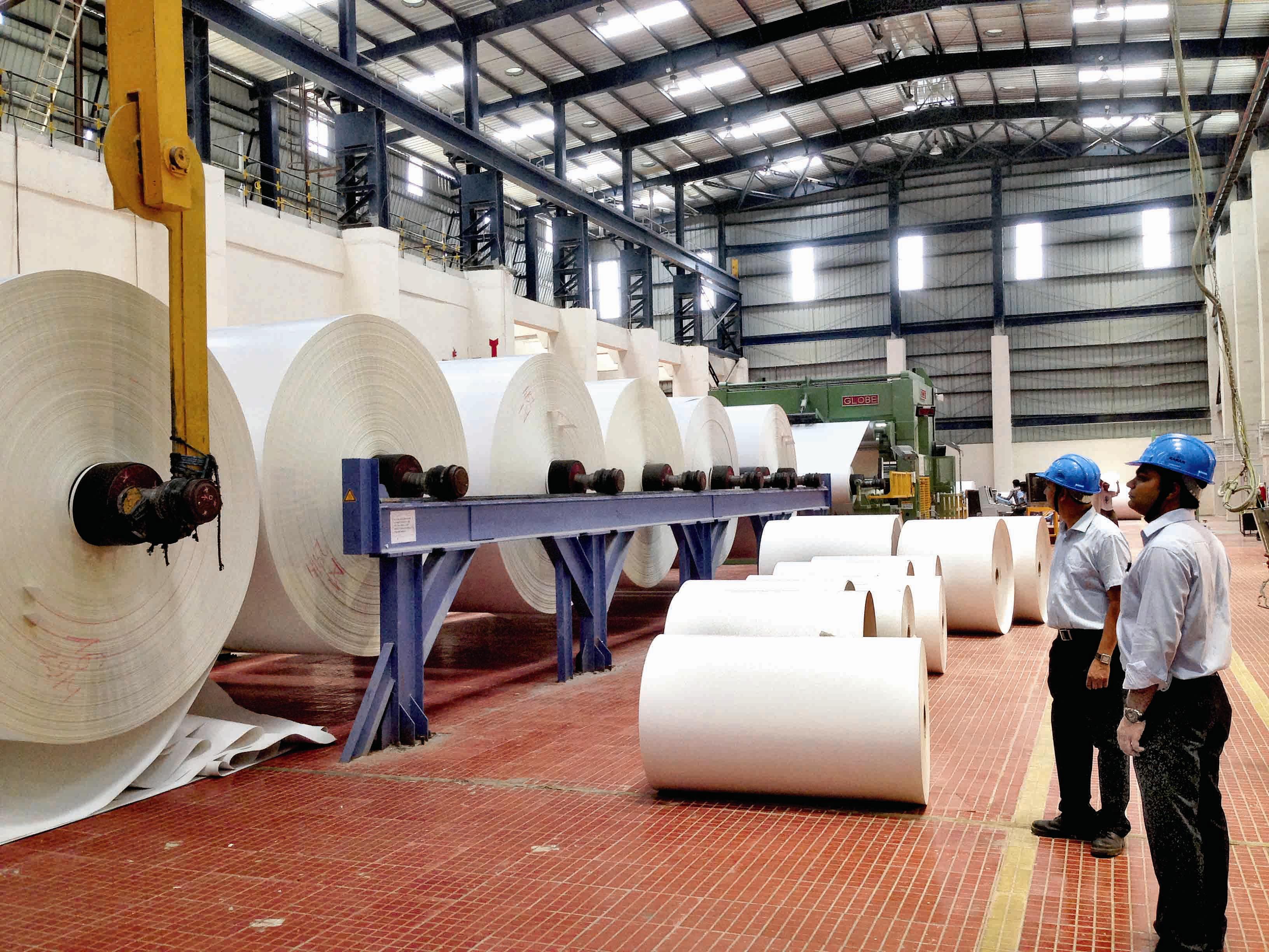 Paper mills post steady earnings