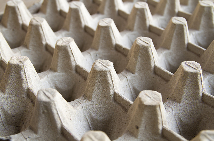 Customer-centricity remains key focus of pulp moulding machines market