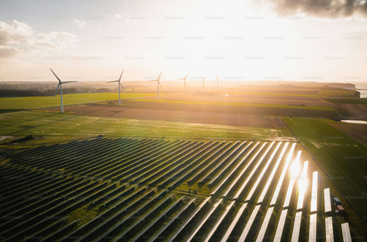 Zelestra India signs PPA with Seshasayee Paper and Boards