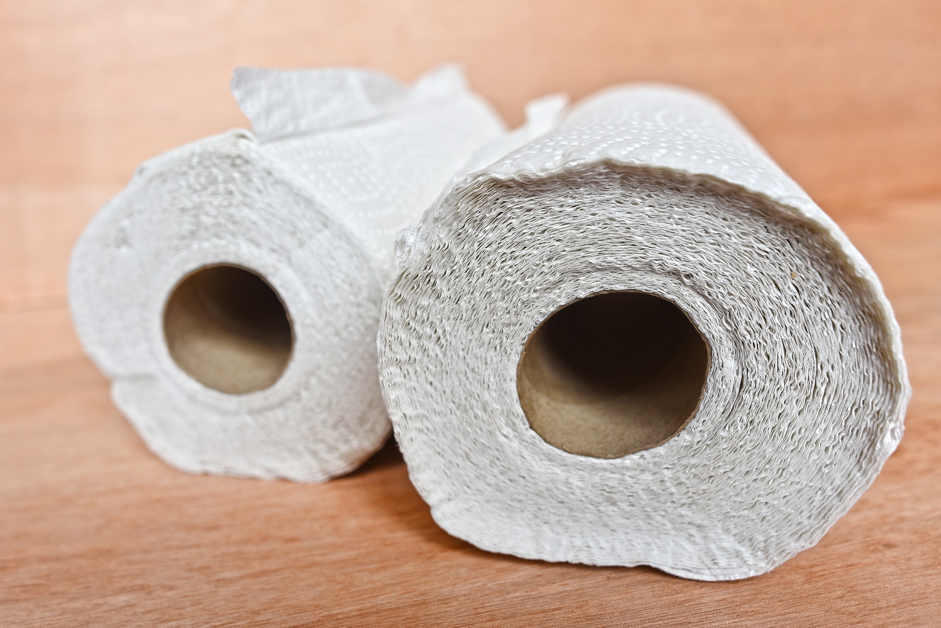 Paper towels better than jet dryers at removing pathogens, says study