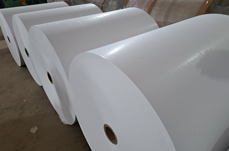 Packaging paper can replace SUP, experts say at IPPTA seminar