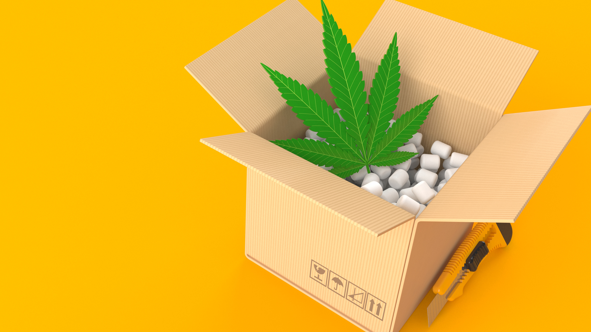 Cannabis packaging market to reach USD 1.6bn
