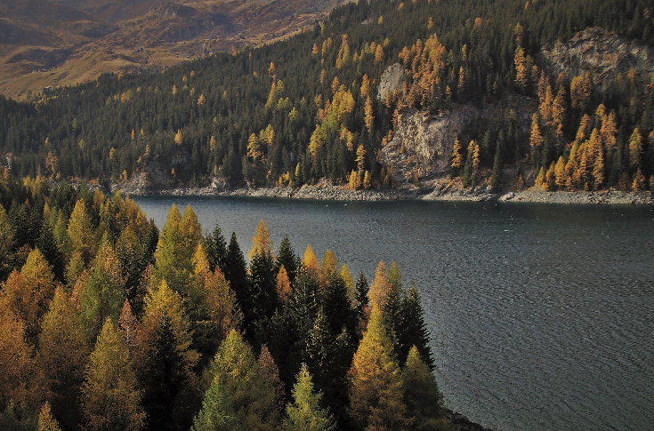 Sustainability is a catchphrase in 2020