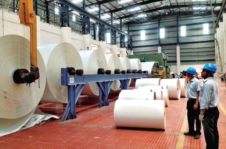 25% decline in paper import in first three quarters of FY19
