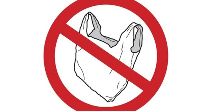 Picture Gallery: Dos and don’ts of plastic ban