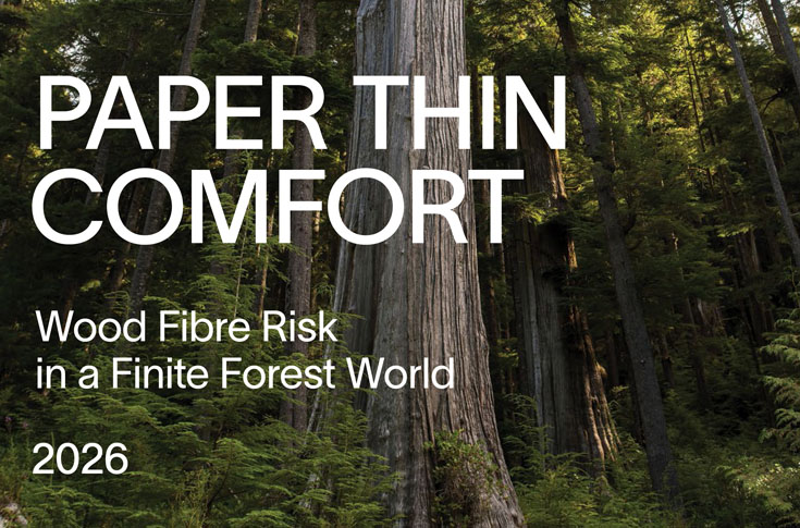 Report warns of wood fibre risks for packaging supply chains