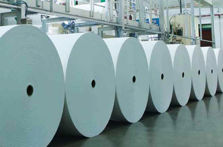 20 paper mills in Gujarat shut in six months, GPMA reaches out to govt