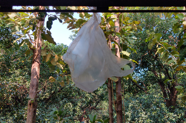 UN agrees to create global treaty on plastic pollution