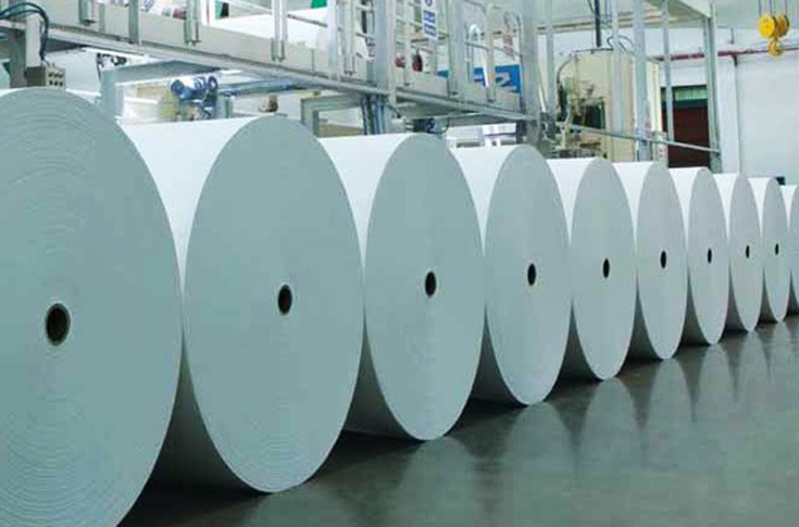 Paper industry asks for increase in import duty 