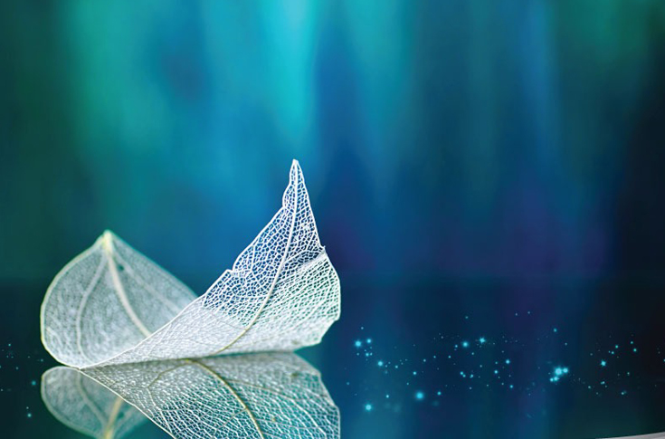 ITC launches Safire Graphik Duo