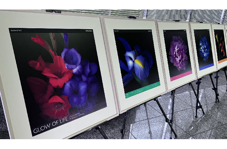 Komori’s 2022 calendar is treat of resplendent colours