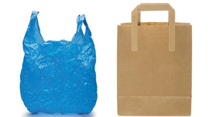 The battle of the bag: paper or plastic?