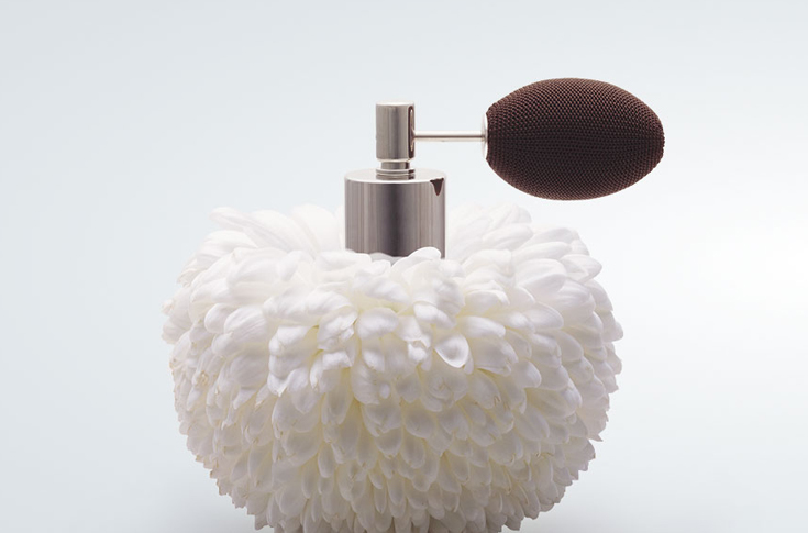 Firmenich and Quadia to fund in Loop