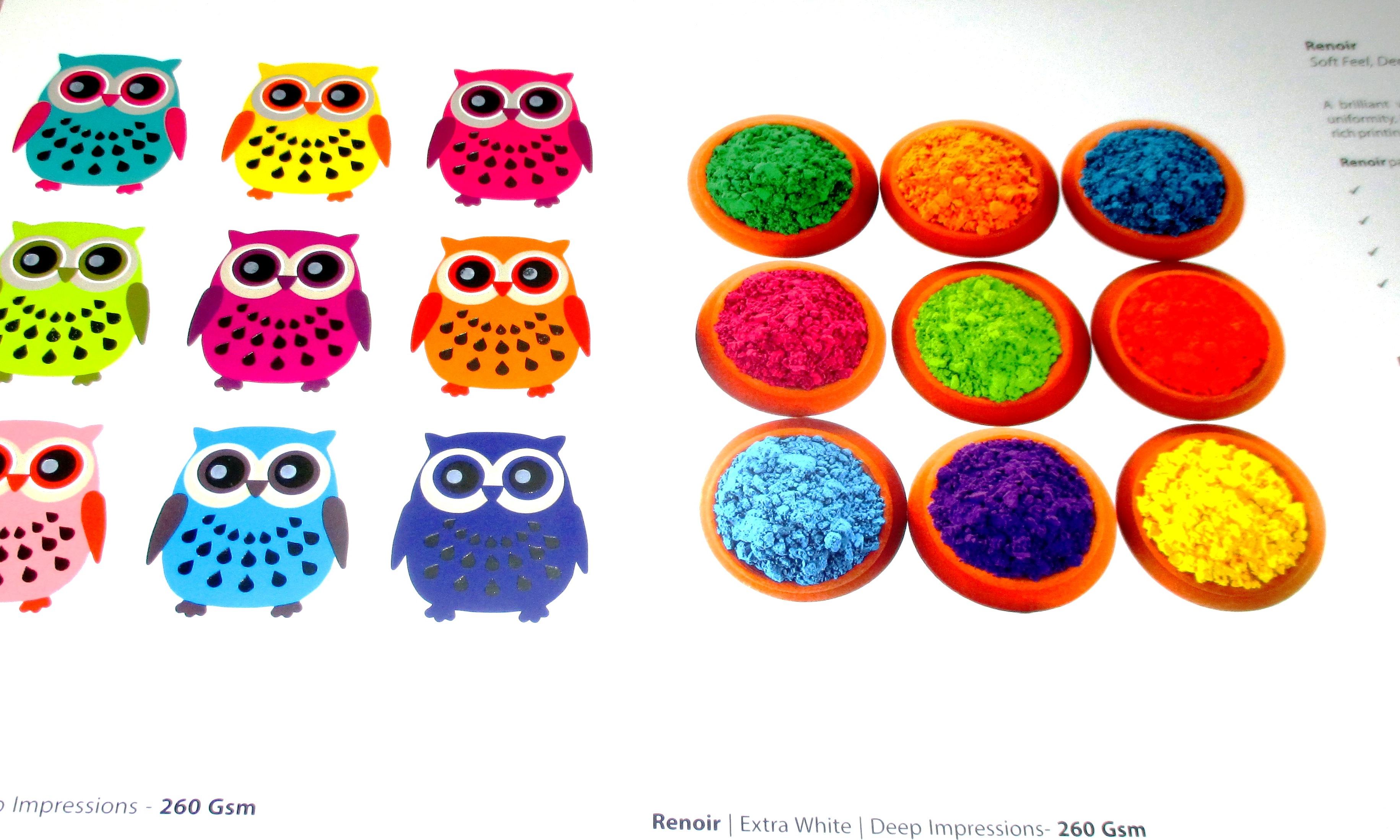 Renoir rough gloss papers help create award-winning jobs