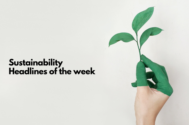 Products from plastic waste; call to eliminate waste