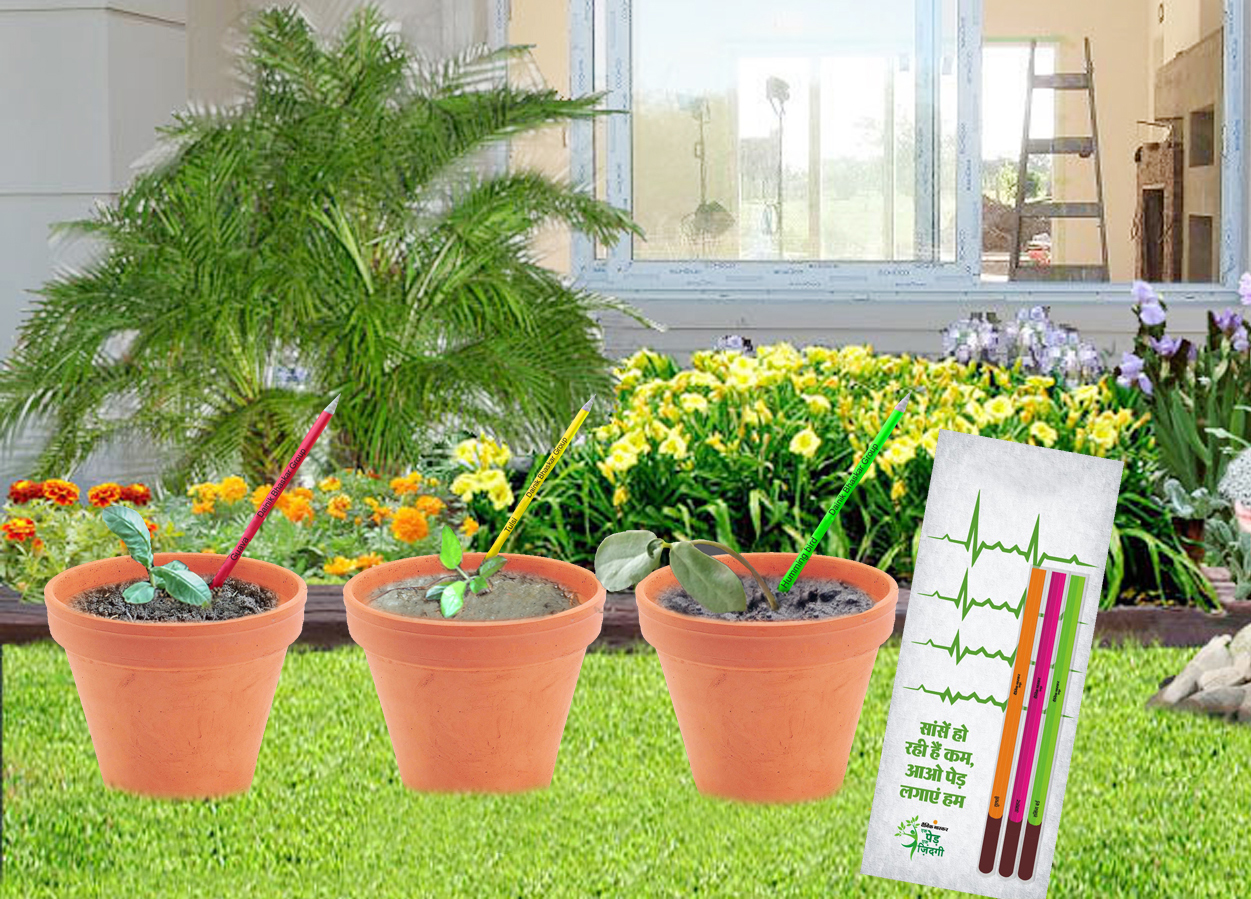 Dainik Bhaskar pencils that can grow into trees