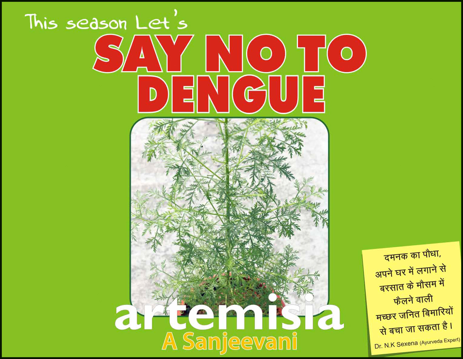 I Support Dengue Free Drive