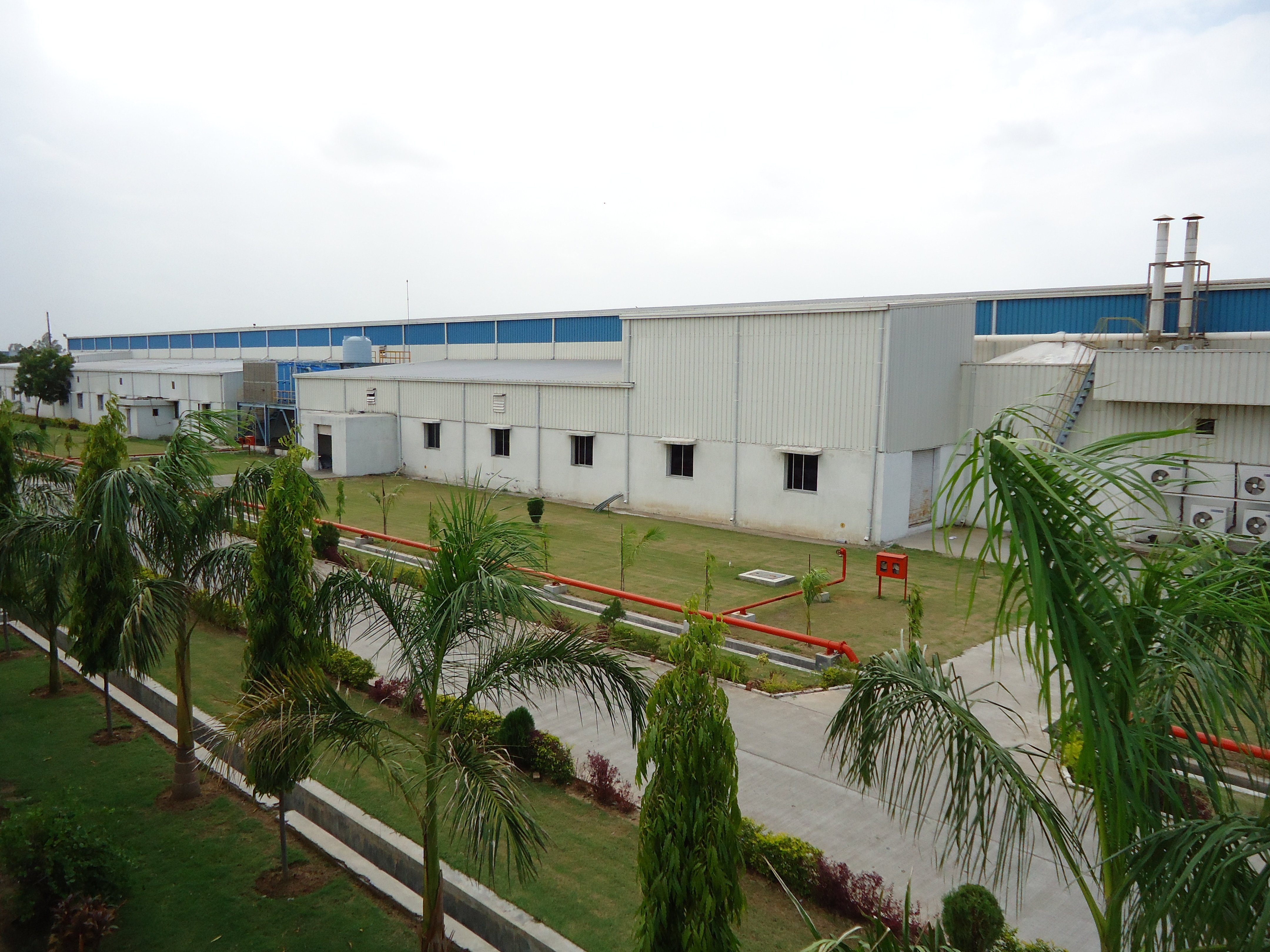 Cosmo achieves highest ever quarterly sales volume in Q4 FY18