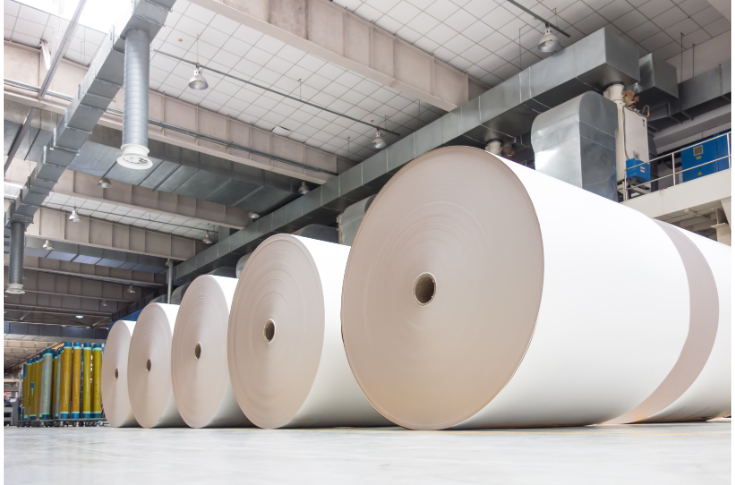 Indian paper manufacturing and consumption ecosystem showing paper production units, printing and packaging facilities, and supply chain flow where paper serves as a key input cost driver for print and packaging industries across large-scale industrial operations
