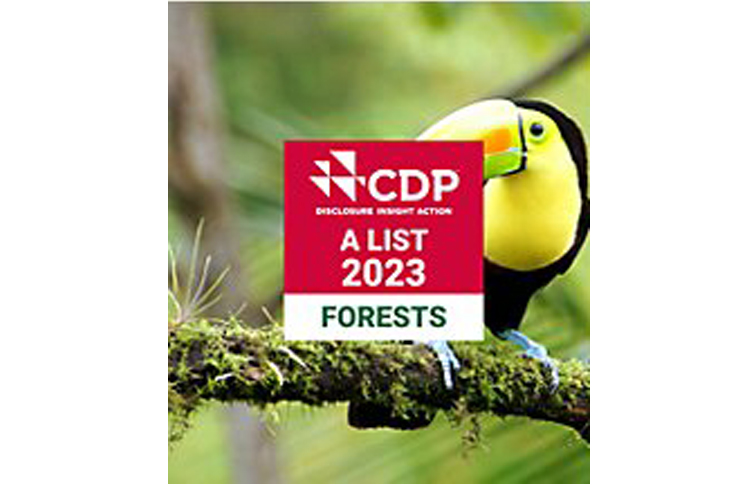 Tetra Pak sustainability and biodiversity initiatives highlighted through CDP leadership scores for forests, climate action and water security