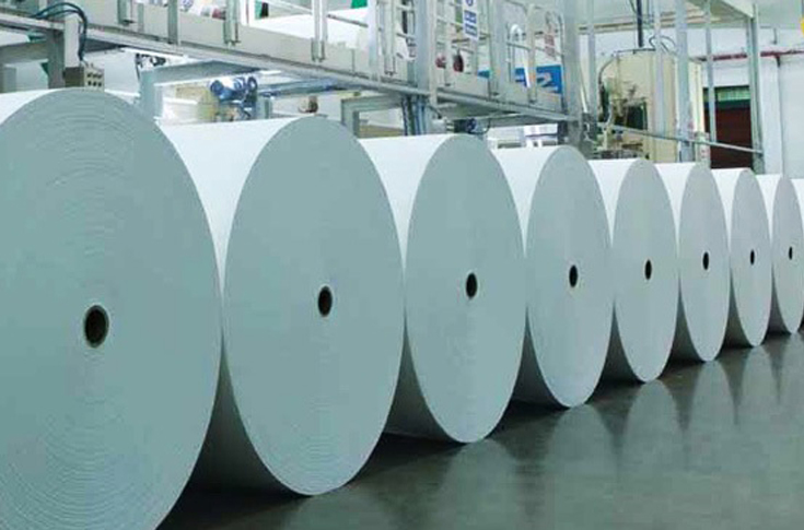 Overview of India’s paper industry trends highlighting fluctuations in revenue, impact of digitisation and COVID-19, and growing dominance of packaging paper demand driven by e-commerce, FMCG, and sustainable packaging sectors