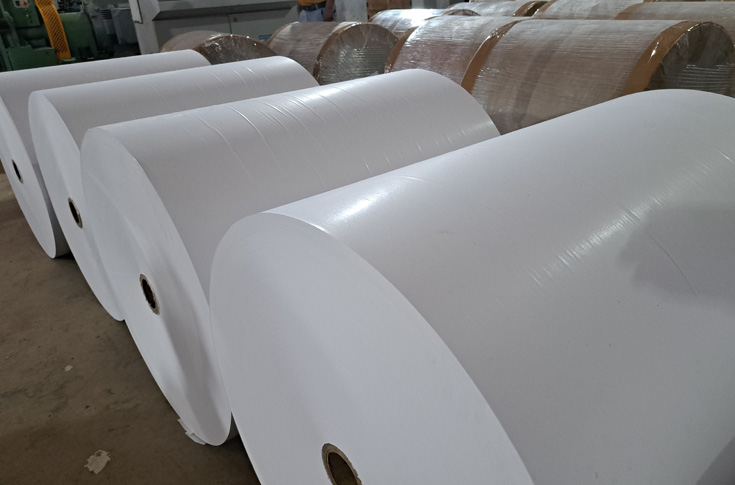 Industry leaders discuss barrier-coated paper packaging as an eco-friendly alternative to single-use plastic for FMCG, pharma, food, and e-commerce industries